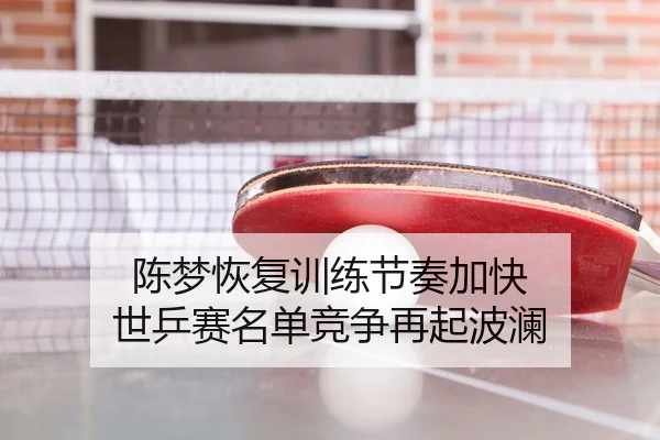 陈梦恢复训练节奏加快 世乒赛名单竞争再起波澜